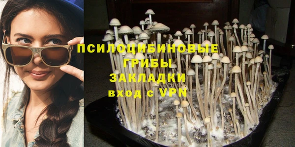 каннабис Новодвинск