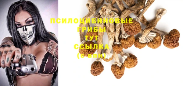 Альфа ПВП Армянск